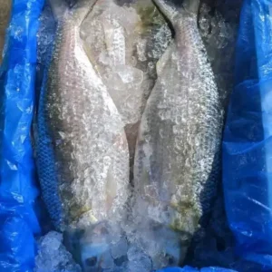 ৫ পিস (১০ কেজি)